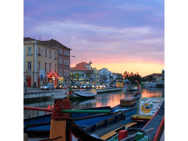 Aveiro, Costa Nova and Coimbra Private Tour From Porto