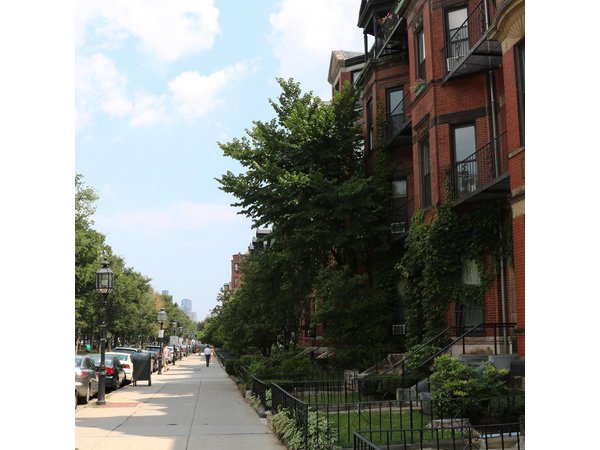 New York City to Boston, Cambridge, Harvard & MIT Tour