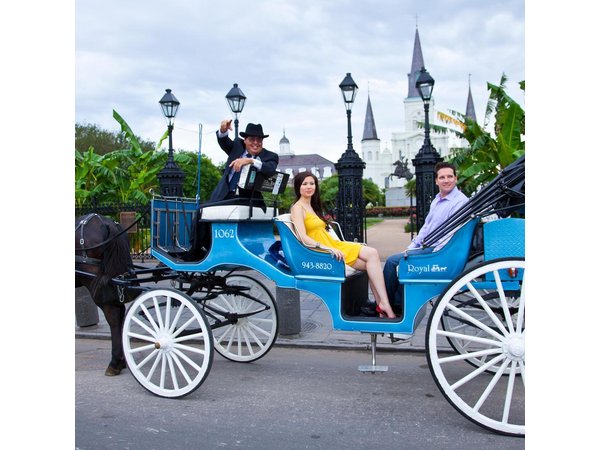 New Orleans Private Carriage Tour of the French Quarter