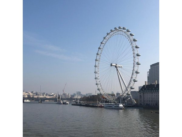 London Highlights Private Car with Driver Guide
