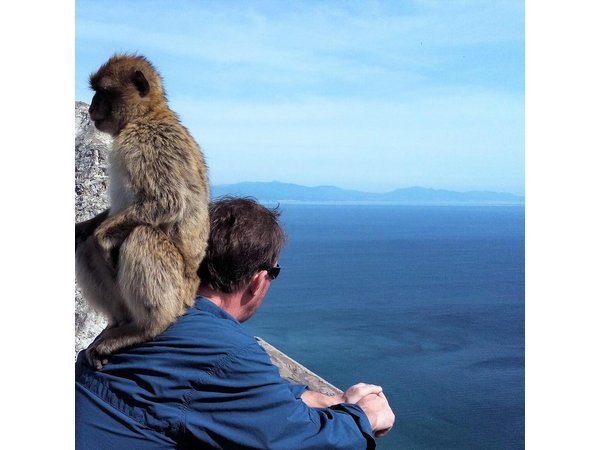 Gibraltar private tour from Marbella or Malaga