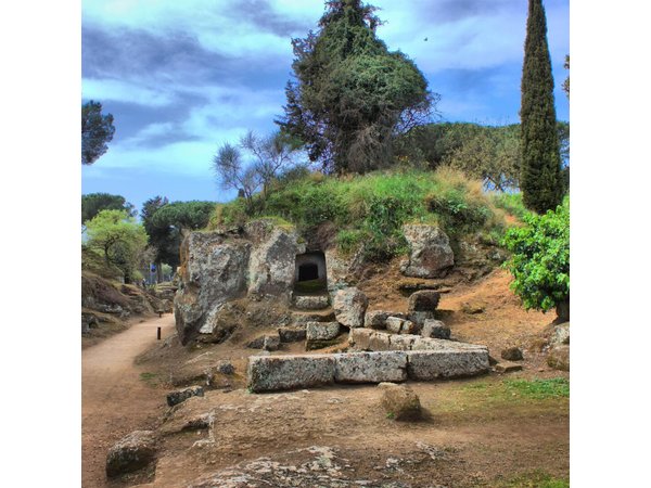 Ancient Etruscan Civilization Tour from Rome