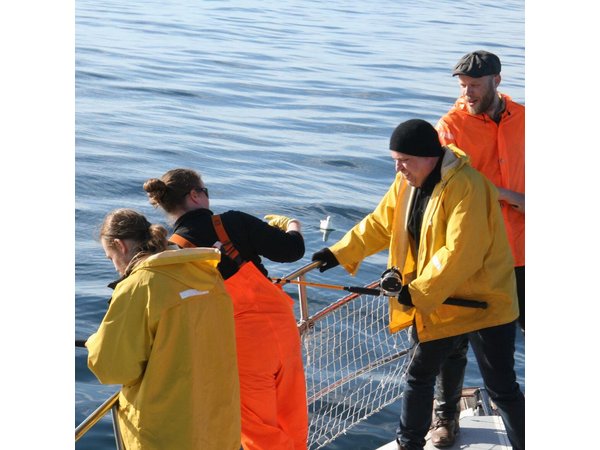 Reykjavik Sea Angling Gourmet