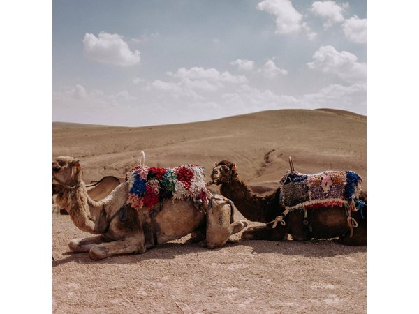 Desert Agafay & Atlas Mountains Day Trip from Marrakech (Min.2 p)