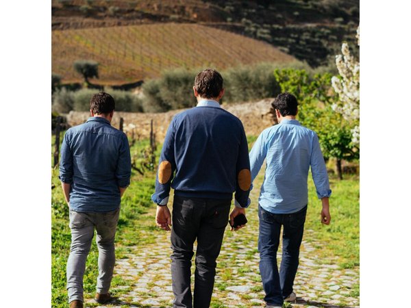 Douro Valley Private Day Trip including Boat Ride & Wine Tasting