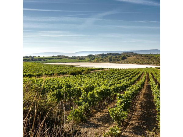 La Rioja wines and Laguardia tour from Bilbao