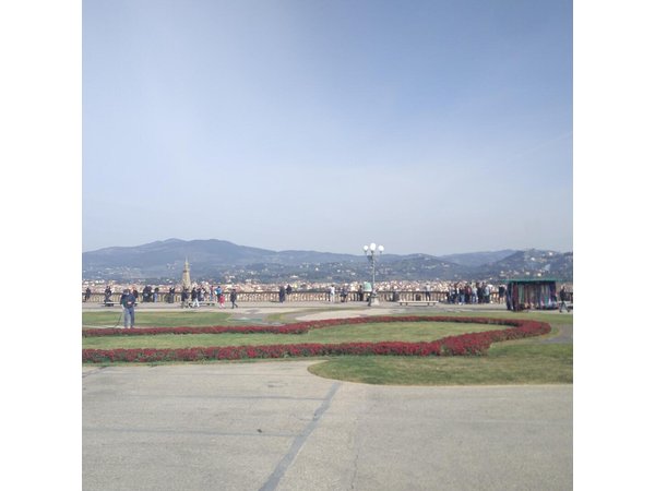 Pisa/Florence from Livorno