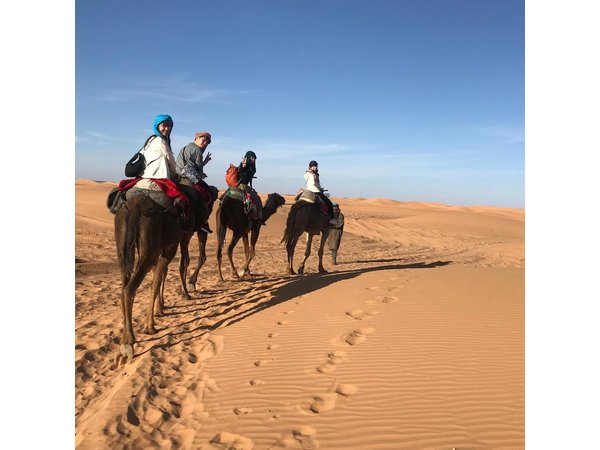 3 days desert tour from fes to marrakech via merzouga