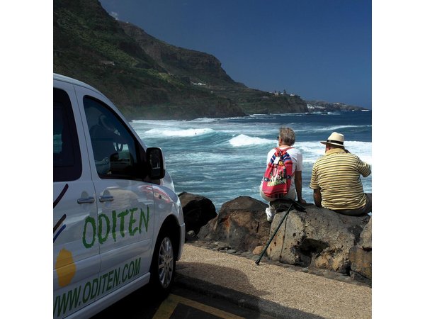Teide National Park and North Tenerife Private Tour