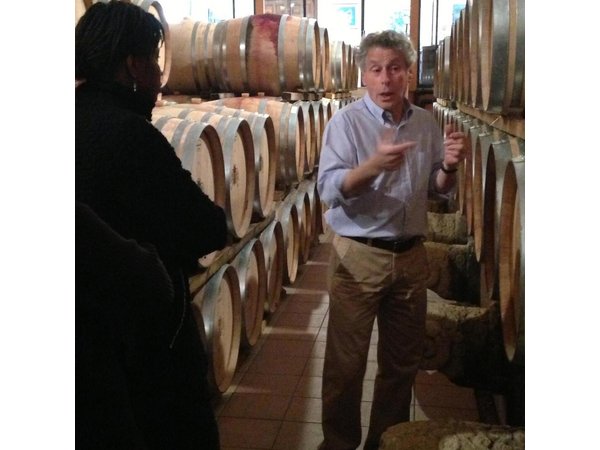Small-Group Half-Day Languedoc Wine and Olive Tour from Montpellier