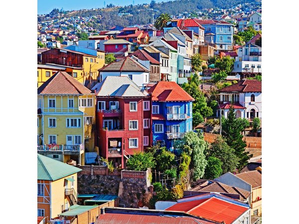 Private Tour: Viña del Mar and Valparaíso Tour with Wine Tasting in Casablanca Valley