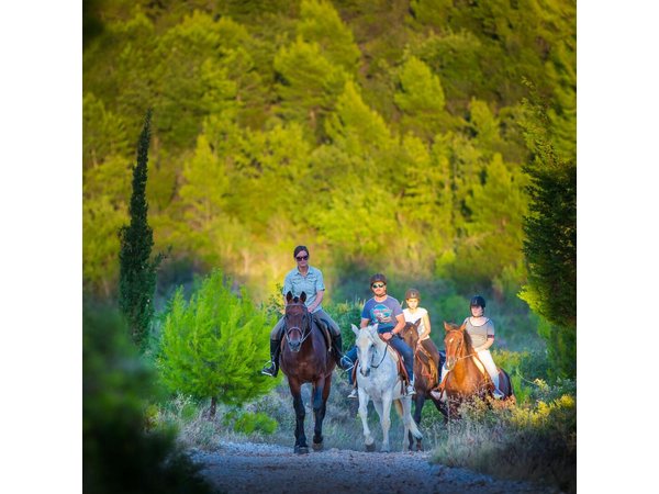 Horseback Riding in Konavle Region with Transport from Dubrovnik