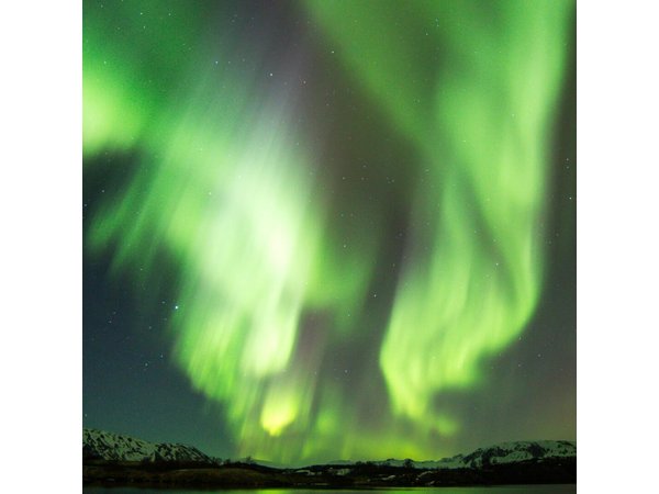 Northern Lights Cruise from Reykjavik