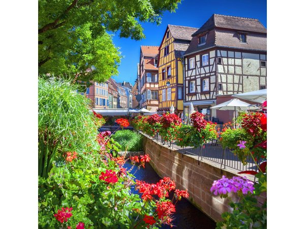Colmar, Medieval Village & Castle Small Group from Strasbourg