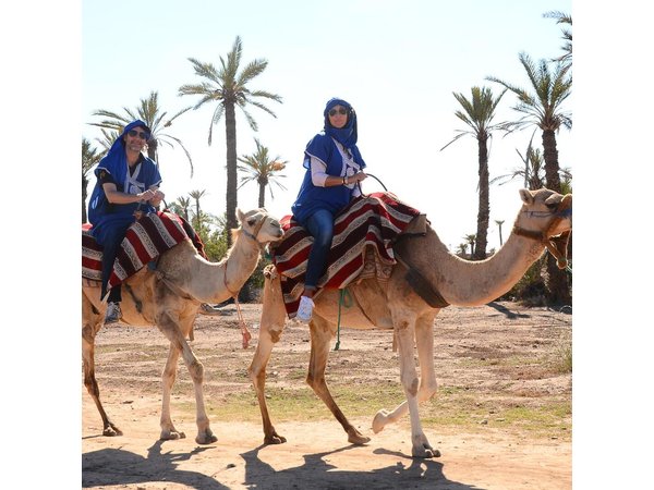 Marrakech Desert Camel Ride