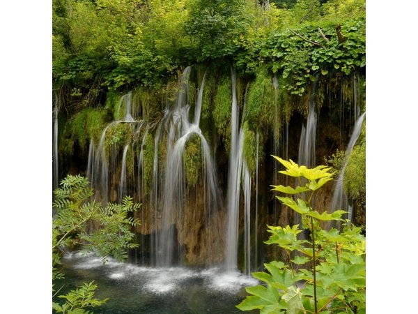 All inclusive luxury daytrip Plitvice Lakes from Split or Trogir