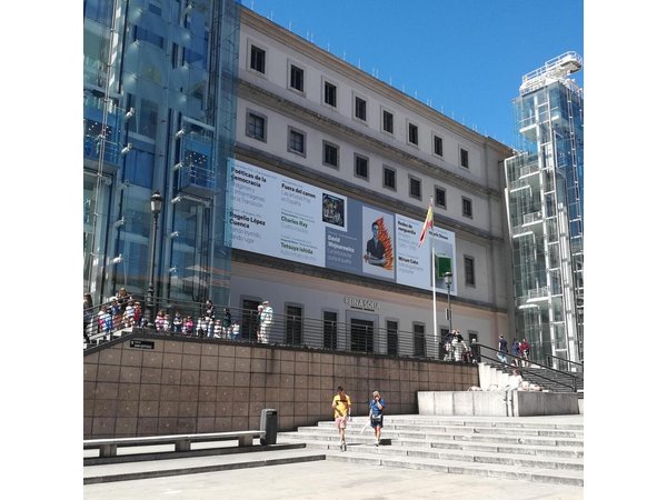 Visita privada en el Museo Reina Sofía con Entrada y Guía