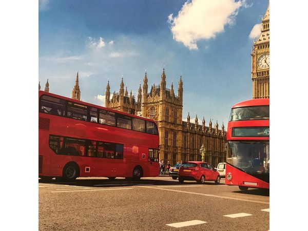 Best of London Private Day Tour