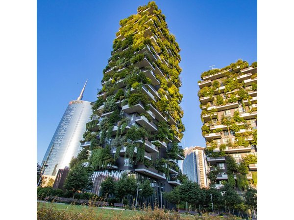 Explore Milan in 90 minutes with a Local