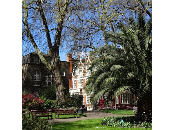 Mayfair, London's famous aristocratic village - Exclusive, Private Walking Tour