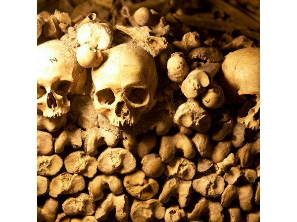 Paris Catacombs Guided Tour with Exclusive Access to Secret Areas