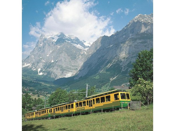 Eiger and Jungfrau Panorama Day Trip from Lucerne