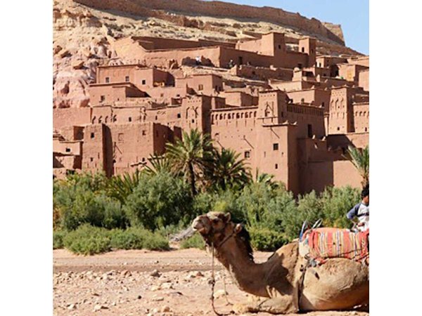 From Marrakech : Day Trip to Ouarzazate and Ait Benhaddou