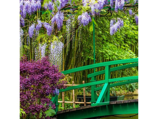 Giverny and Monet's House Half Day Trip from Paris Guide or Audio