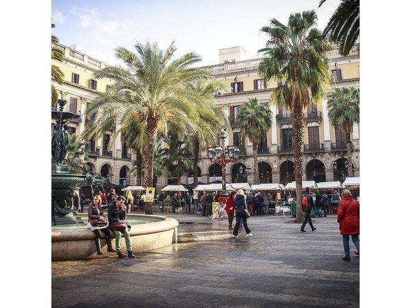 Private Barcelona Old Town and Gothic Quarter Walking Tour