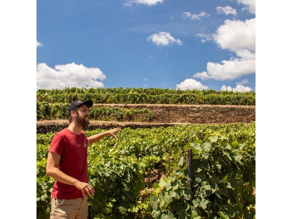 Complete Douro Valley Wine Tour with Lunch, Wine Tastings and River Cruise