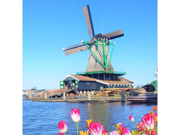 From Amsterdam Zaanse Schans Edam Marken & Volendam Private Tour