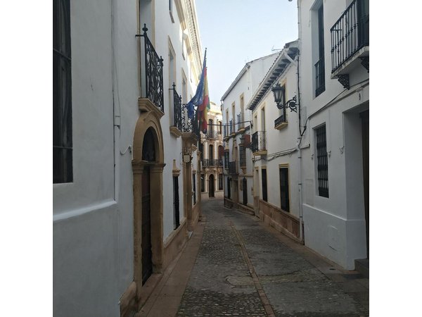 Guided Tour of Ronda