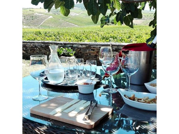 Douro Valley Best-Of Private Tour – Fully Customizable Experience