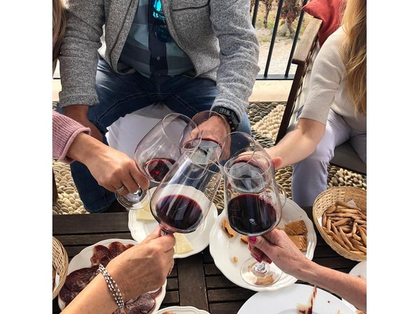 VIP Ronda Wine Tour and Tasting and Gourmet Lunch Experience with Winemaker