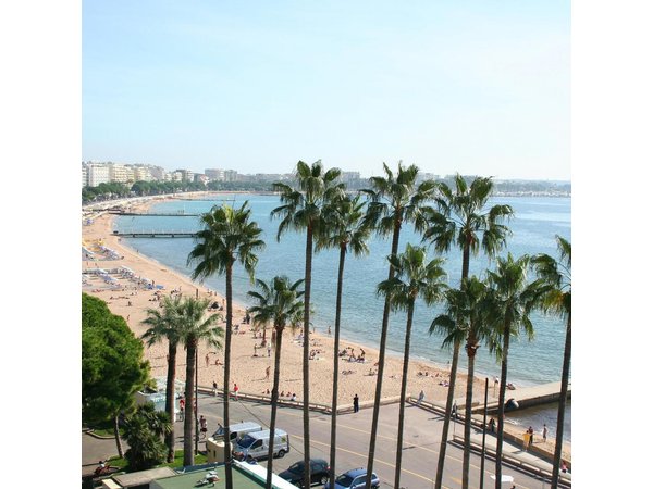 Cannes Shore Excursion: Private Half-Day Trip to Cannes & Grasse