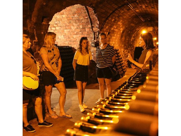 Private Full Day Tour - Visit of 3 Champagne Growers from Reims.