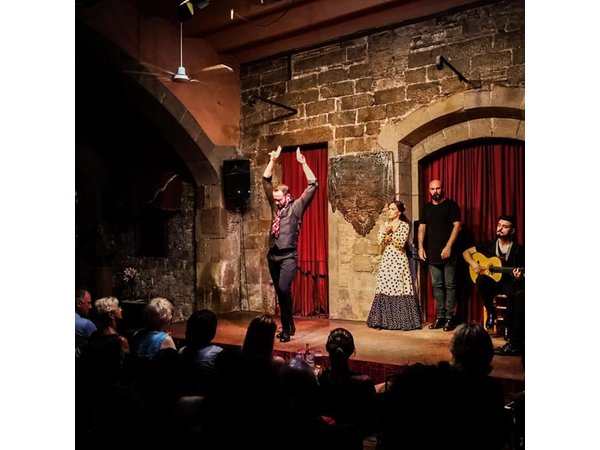 Barcelona Private Tour: Tapas & Wine Tasting with Flamenco Show