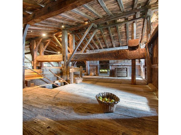 " Basque Farm House & Cider house" tour + meal from San Sebastian
