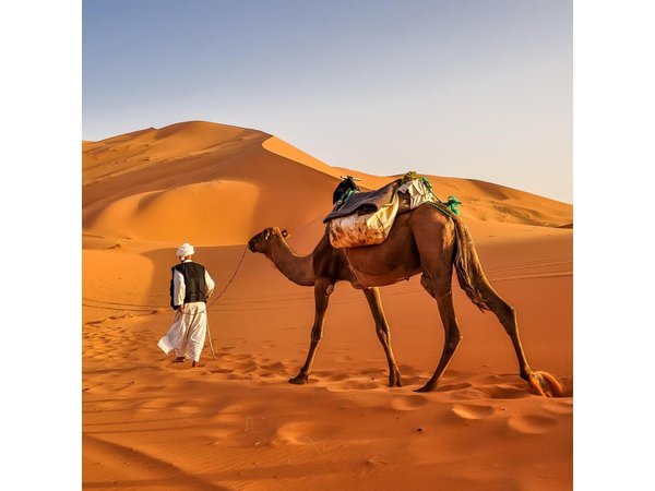 3 Day Group Tour From Marrakech To Sahara Desert