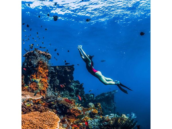 Amed Bali Snorkelling: Japanese Shipwreck & Vienna Beach Tour