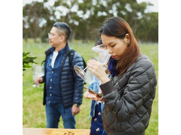 Three Day Charter Margaret River Region (Perth road travel)