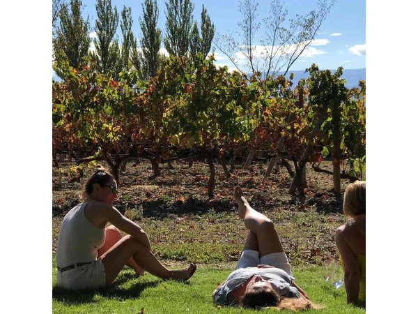 Rioja Wineries and Laguardia Tour with Picnic from San Sebastian