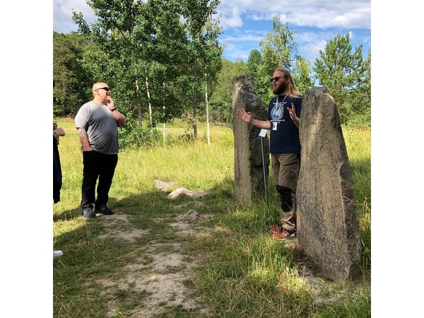 Viking History Small Group Tour from Stockholm: Half Day Including Sigtuna
