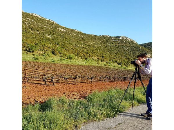 Private Mycenae, Anc Nemea & Nemean Winery Experience from Athens