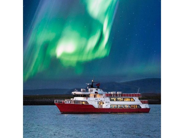 Winter Whale Watching and Northern Lights Cruise from Reykjavik