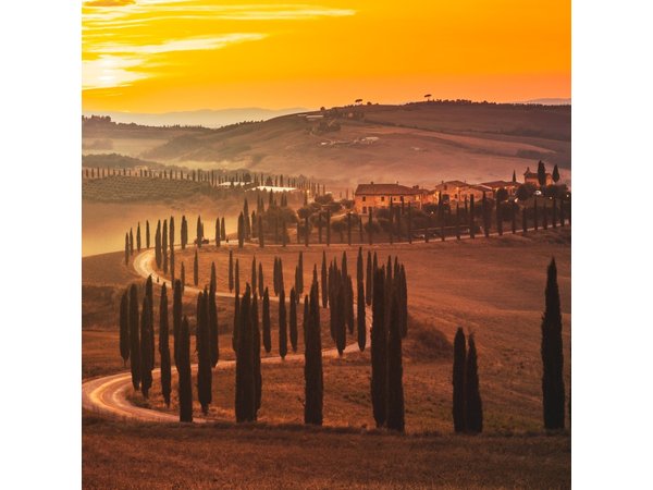Private Experience Tuscany Tour from Rome