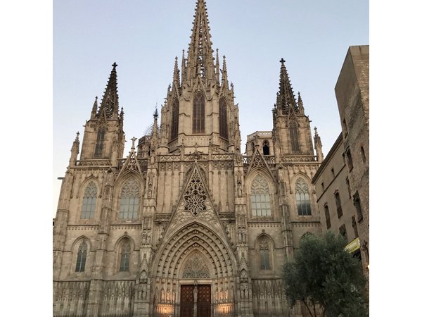 Barcelona Highlights Full Day Tour with a Licensed Tour Guide