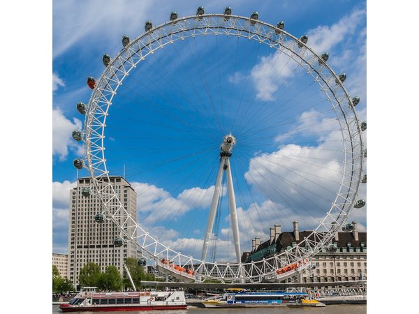 Private Tour: Black Taxi Tour of London