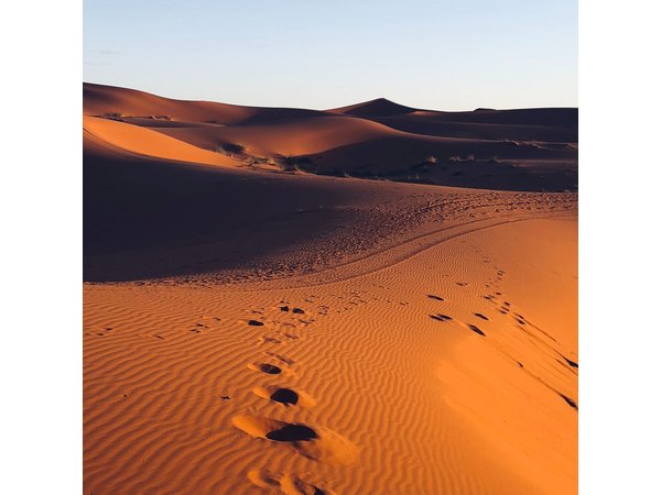 Marrakech & Desert 3-Days