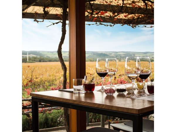 McLaren Vale Wine Tour - Max 6 guests with Chef's selection lunch